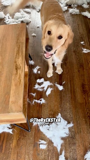 Surprise! I Redecorated! 😂 RxCKSTxR Classic Comedy Voiceover feat Vid from FanFam Kristine T. 🫶🏾#rxckstxr #voiceover #funnyvideos #foryoupage #fblifestyle | Rxckstxr