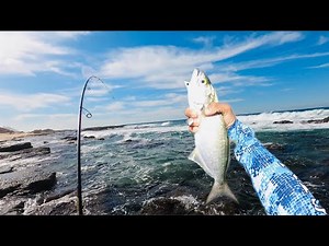 Shad Fishing in the wind with lures! Fishing south coast Durban. KZN