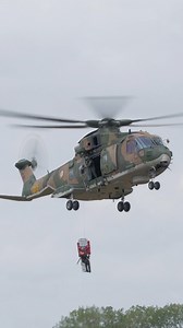 Sir, let go of him. You gotta let him go, sir #goose #maverick #merlin #RIAT | Turn 'n' Burn