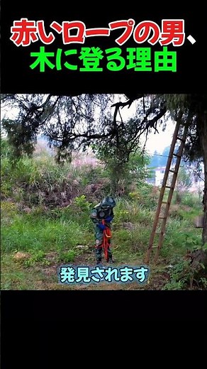 赤いロープの男、木に登る理由