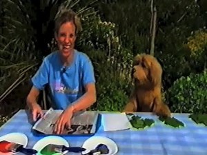 SMarteenies Ep 29 BBC CBeebies 2001 TV Make and Do, Art Show for Pre-Schoolers.