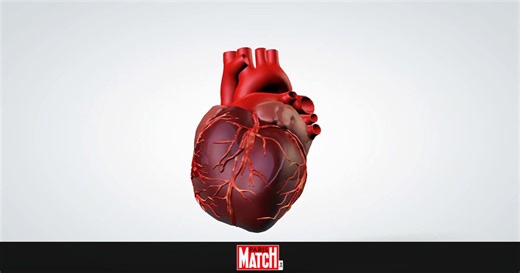 L'impression 3D d'un cœur humain fonctionnel n'est plus un simple rêve