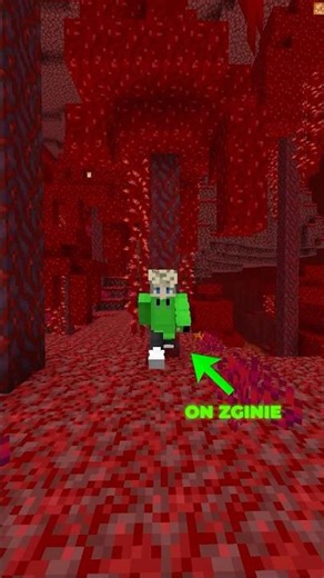 MINECRAFT ALE NIE MOŻESZ DOTKNĄĆ CZERWONEGO KOLORU🔴😫