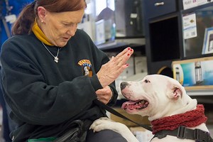 Deaf Dog And Owner Win A $5,000 Grant From Petco Foundation