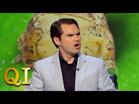 The Exploding Toads of Hamburg | QI