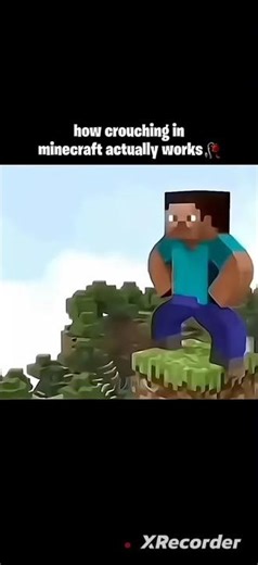 This is how actually Crouching in Minecraft works like