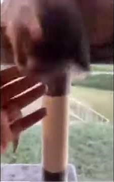 Omg I thought he was dead meme