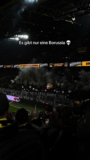 Borussia Dortmund vs Mönchengladbach Match Highlights