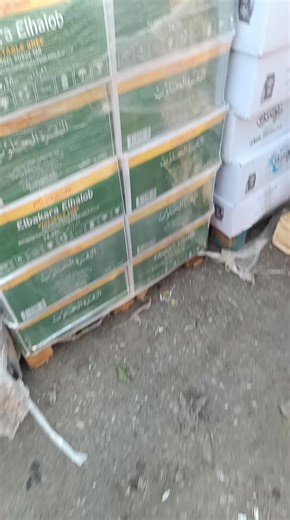 مول ابو يونس nurlar grus (@.nurlar.grus) adlı kullanıcının الصوت الأصلي - مول ابو يونس nurlar grus ile oluşturduğu videoları