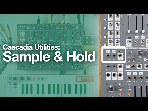 Intellijel Cascadia Utilities: Sample & Hold