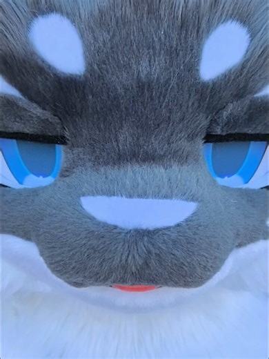 commission！ @dalruk_fursuit #fursuit #fursuitmaker #furry