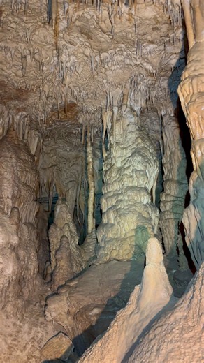 24K views · 673 reactions | No one was looking for a cave when the department of transportation blasted open the side of the mountain to make a road. . They discovered this beautiful cavern! For years, people harvested formations and caused a lot of damage to the cave. Finally, a gate was installed to protect this cave. Anyone can visit, if you go through a grotto for access. #caving | Adventuring Light | Facebook