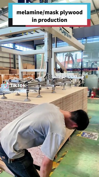 Understanding Different Types of Wood Materials