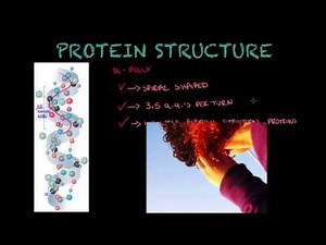 Protein structure - Biology tutorial