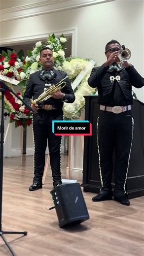 Despedidas con amor 🕊️🕊️🕊️ . 📱2136442516 y 5625671423 Los Ángeles California 🌴🌴 . #funeral #panteon #mariachistiktok #mariachi #despedida