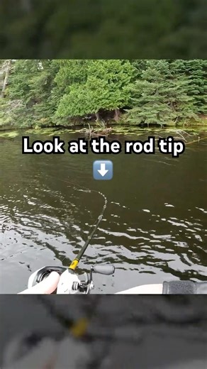 Did You See the Tap Tap on the Tip of the Rod?