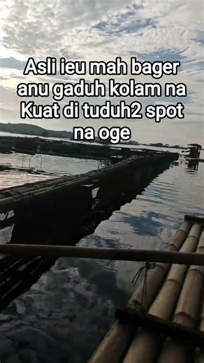 Asli ieu mah bager anu gaduh kolam na kuat di tuduh2 spot na oge #fishing #mancingcirataterbaru