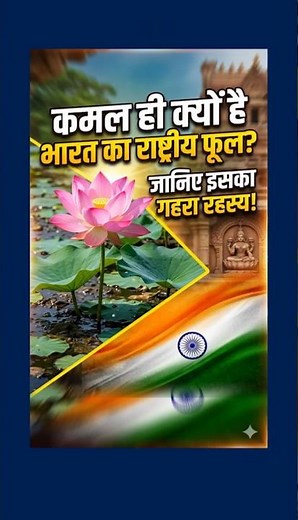 Why is the Lotus India's National Flower? | Symbolism & Facts #gk