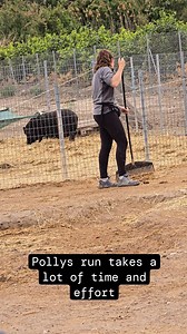 Jacobs Ridge Animal Sanctuary on Reels