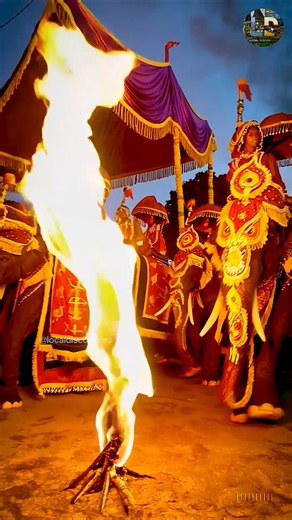 Is this true? A festival that runs on fire! 🔥 #traditional #yt
