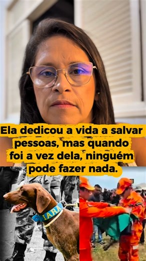 Lucanza | Dicas Veterinárias on Instagram: "⚠️ Torção vólvulo-gástrica é silenciosa e rápida. Ficar atento aos sinais e manter o acompanhamento com o médico veterinário pode fazer toda a diferença. Prevenção começa com informação. 🐾 Me siga para aprender a proteger quem depende de você. . #veterinaria #veterinary #medvet"