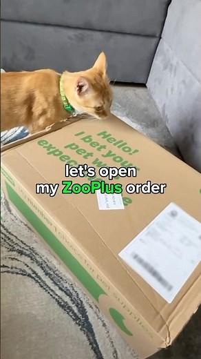 Let's open my ZooPlus order ✨
