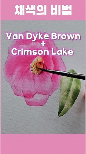 채색의 비밀-동백꽂 수채화 The Secret of Colour - Watercolor Painting with Camellia Arranged #watercolor #수채화