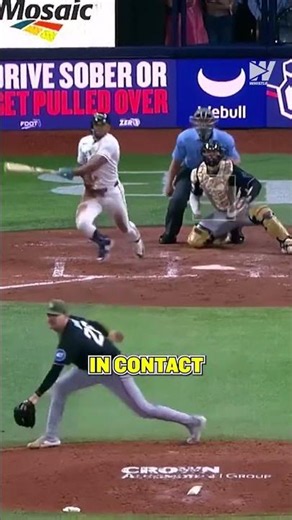 The Tampa Bay Rays Found A Loophole In The MLB