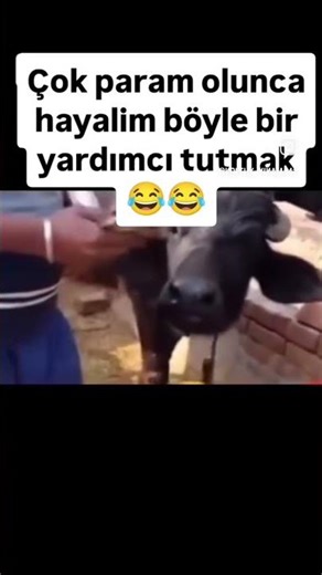 Para Çok Olunca Böyle Yardımcı Gerekli 😃