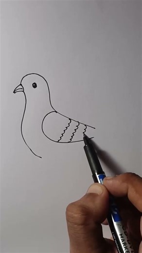 how to draw pigeon easy for beginner 🐦| easy pigeon drawing | pigeon drawing