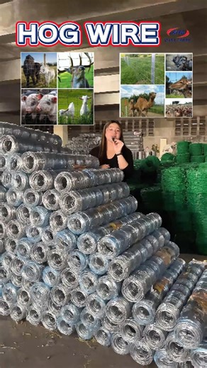 Hog Wire for securing your farm, animals, garden and more. For inquiries and/or orders message us now on our account ✉️ 🕒 Monday–Saturday: 8:30 AM–5:30 PM (Sunday: Closed) ☎️ 09687119730 (Call, Text or Viber) 📍Bulacan #hogwire #fence #wire #Wiremesh #fencing #galvanized #galvanizedsteel #farm #animals #garden #secure #farming #security #pambakod #hardware #DirectSupplier #joyawiremesh #steel #metal #construction #project #fyp #manufacturer | Joya Wire Mesh