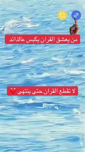 #جورى_أسيل_اكسبلوررررر #قران_كريم_ارح_سمعك_وقلبك #اكسلبورر_explore #foryou #foryourpage