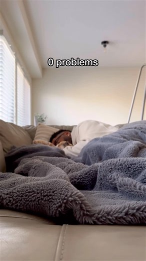 Luna The Mini Cockapoo on Instagram: "Problems solved 🥺 #dogs #puppylove #minicockapoo"