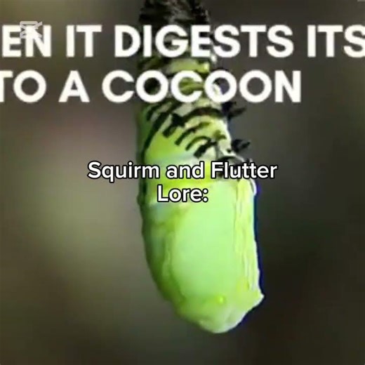 How did squirm turns into flutter: #dandysworld #roblox #fyp #squirm #flutter #shorts #memes #viral