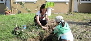 108K views · 158 shares | Did you know that more and more residents are joining the tree planting activities of Go Green Lancaster? #ProfriendsDelivers #YourFamilyFriendlyCity | Lancaster New City by Profriends | Facebook