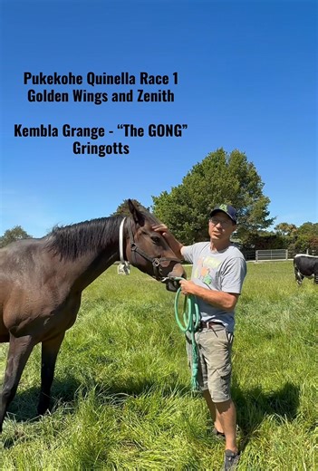 A gorgeous Friday on the farm with many pregnancies this week 🐴 and we were super excited to have Gringotts dam, Miss Bluebell test positive at 16 days in foal! Congratulations to her owners, Dirk and Nicci Oberholster 🎉 Gringotts is one of Sam’s hot tips for tomorrow - going for back to back glory in The Gong at Kembla Grange! Two LA graduates are his other tip in Race 1 at Pukekohe Have a great weekend everyone! Little Avondale - The Breeding Ground of Champions! | Little Avondale Stud