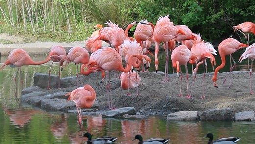 20K views · 417 reactions | Following the driest spring since 1956,...