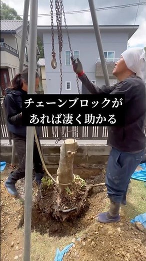 [Stump Removal] Chain blocks are easy, but watch out for pipes