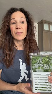 If you struggle to keep fresh herbs fresh, this FRESH HERB PRODUCE GUIDE is for you! Comment "RECIPE" to have a link to the recipe delivered straight to your inbox! https://flavorthemoments.com/fresh-herbs-produce-guide/ | Flavor The Moments