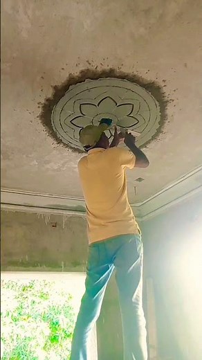 #design #flowerdesign #ceiling