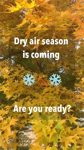 Stop Dry Air Before It Starts 🍂
