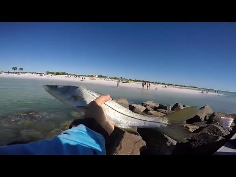 Fishing Honeymoon Island