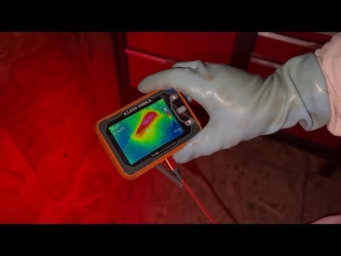 Bob’s Shed Floor Africanized Bee Removal Part 1 - Southern Arizona Beekeeping