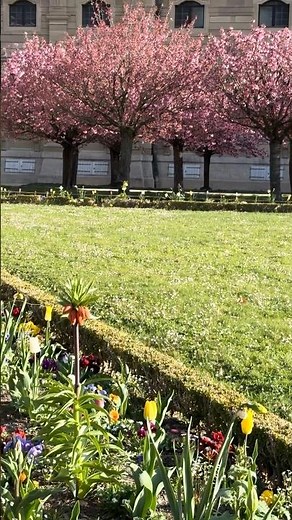 #shorts ヴュルツブルク (Würzburg) の春 ロマンチック街道の起点 世界遺産