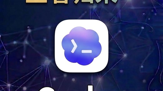 一口气了解codex