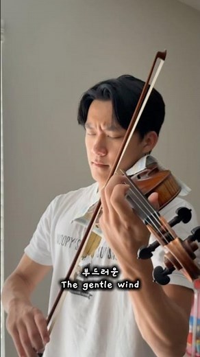 WIEGE - ALIEN STAGE - Violin Cover