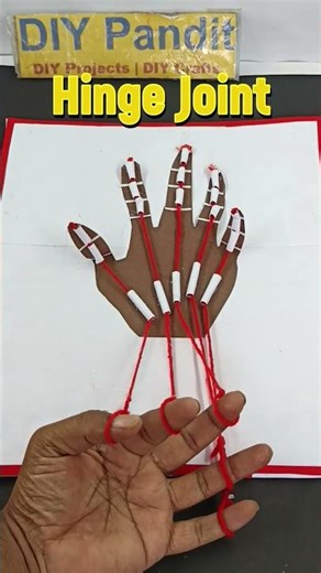 hinge joint working model for science project exhibition - diy - diypandit | DIY pandit