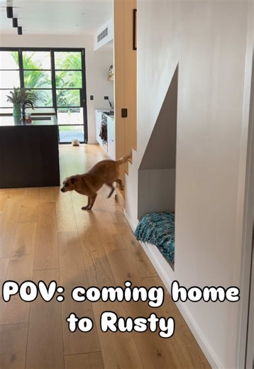 Coming home to your dog. A hero’s welcome. #dogs #welcomehome #pets #doglovers #happy