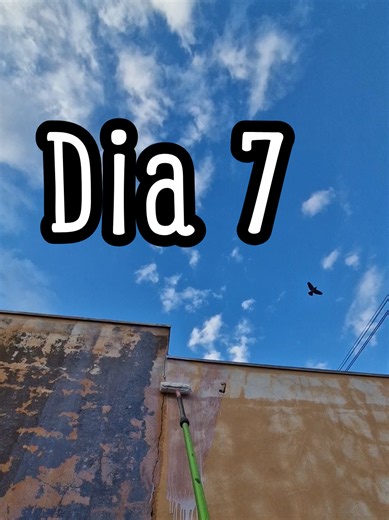 Pintando parede dia 7: rotina de reforma com JN Pinturas