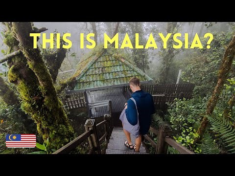 best thing to do in the CAMERON HIGHLANDS | Malaysia travel guide